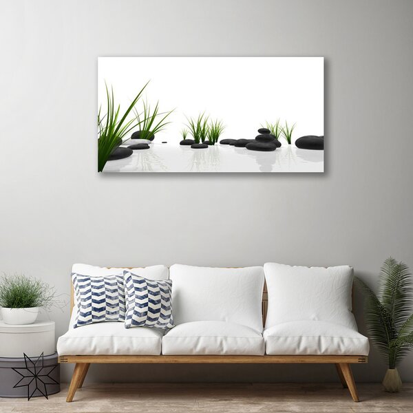 Obraz na plátne Kamene tráva umenie 100x50 cm