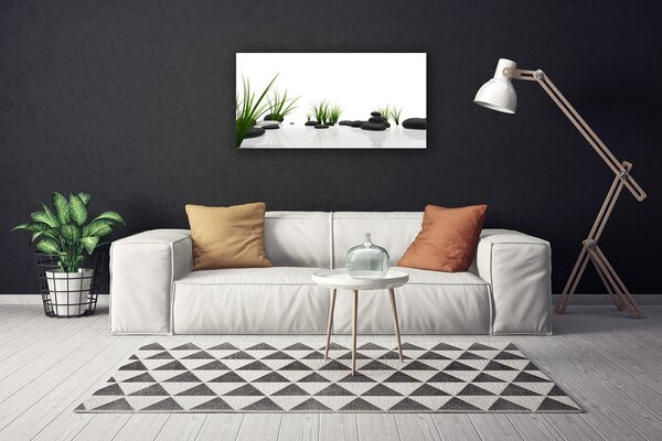 Obraz na plátne Kamene tráva umenie 100x50 cm
