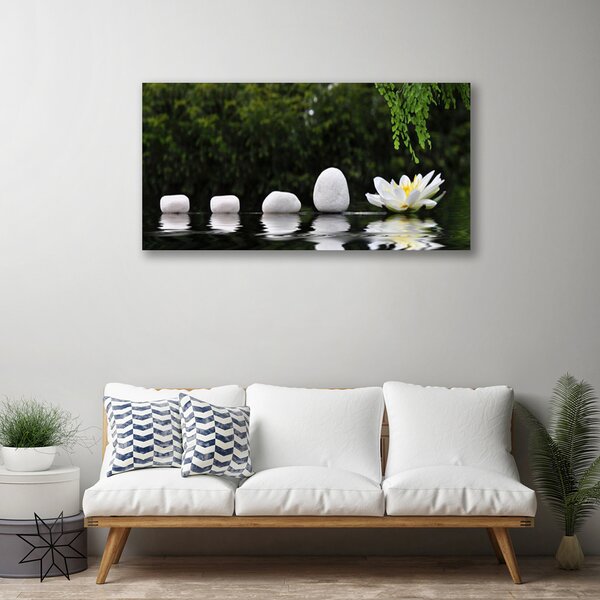 Obraz na plátne Kamene kvet umenie 100x50 cm