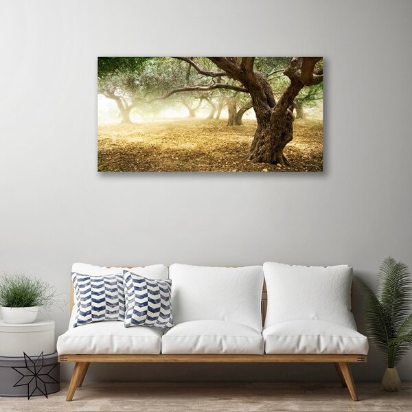 Obraz na plátne Strom tráva príroda 100x50 cm