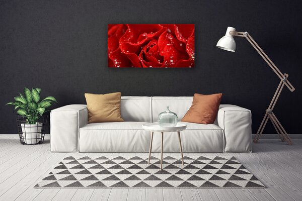 Obraz na plátne Ruže kvet rastlina 100x50 cm