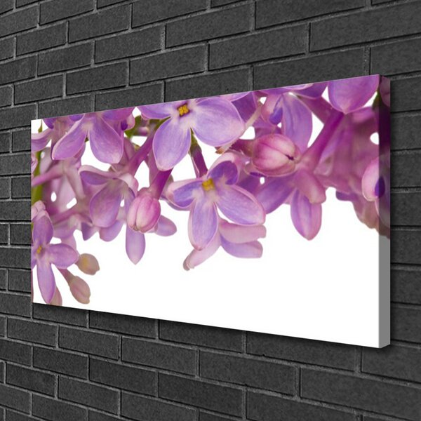 Obraz na plátne Kvety rastlina 100x50 cm