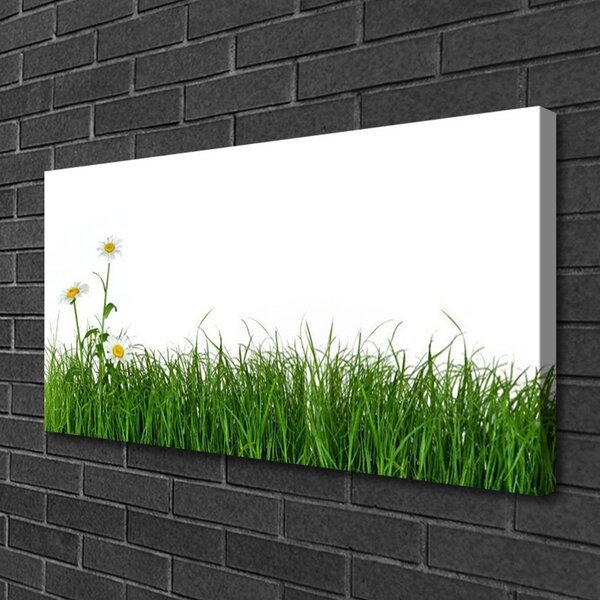 Obraz na plátne Burina príroda rastlina 100x50 cm