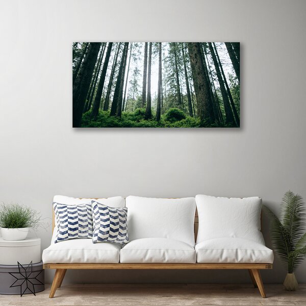 Obraz na plátne Les príroda 100x50 cm