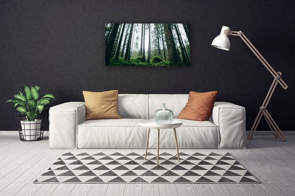 Obraz na plátne Les príroda 100x50 cm