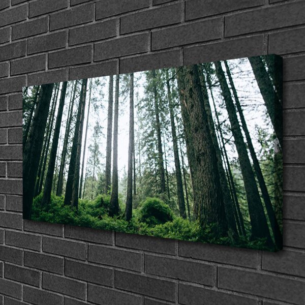Obraz na plátne Les príroda 100x50 cm