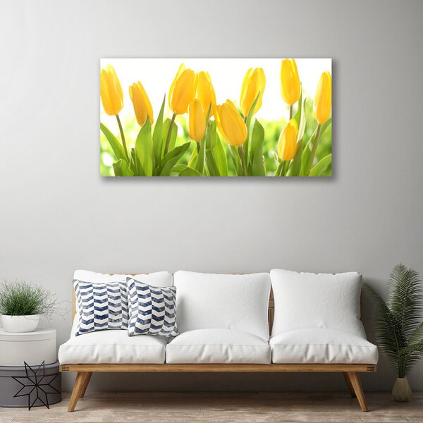 Obraz Canvas Tulipány kvety rastlina 100x50 cm