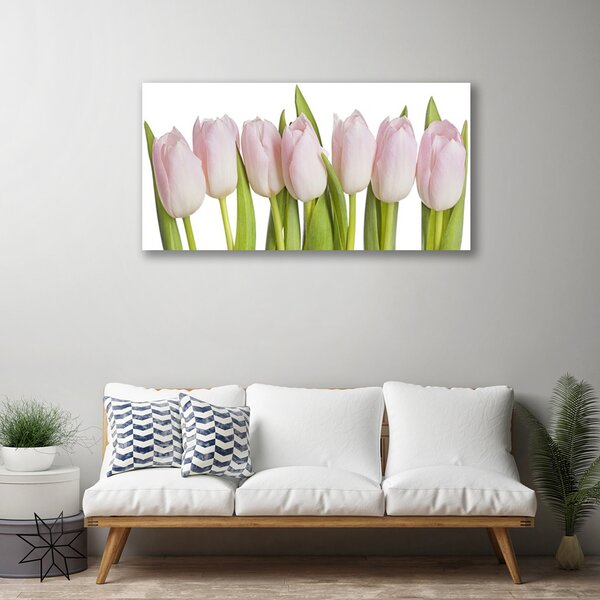 Obraz Canvas Tulipány kvety rastlina 100x50 cm