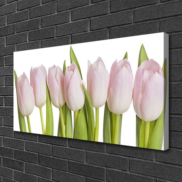 Obraz Canvas Tulipány kvety rastlina 100x50 cm