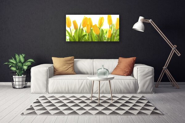 Obraz Canvas Tulipány kvety rastlina 100x50 cm