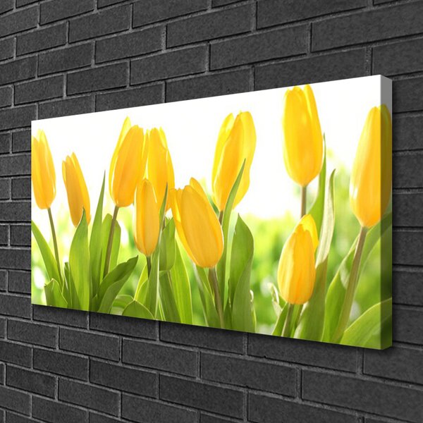 Obraz Canvas Tulipány kvety rastlina 100x50 cm