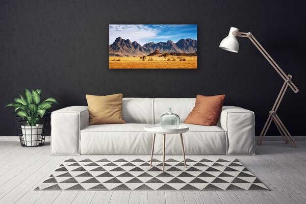 Obraz Canvas Púšť hory príroda 100x50 cm