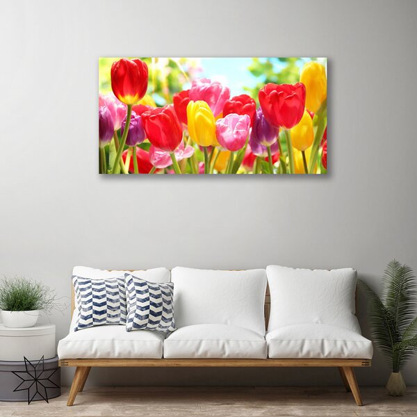 Obraz Canvas Tulipány kvety rastlina 100x50 cm