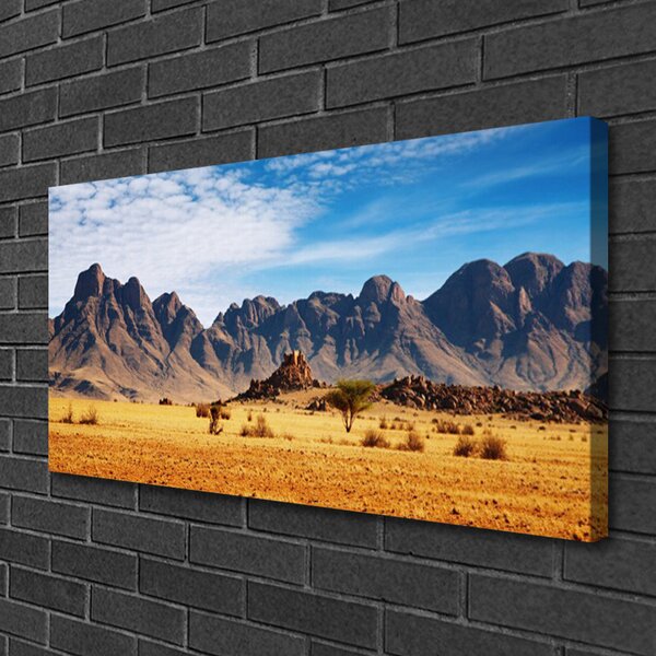 Obraz Canvas Púšť hory príroda 100x50 cm