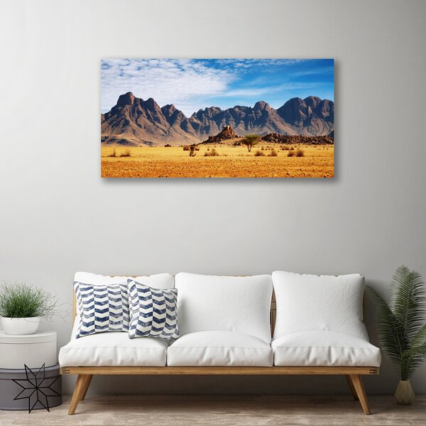 Obraz Canvas Púšť hory príroda 100x50 cm
