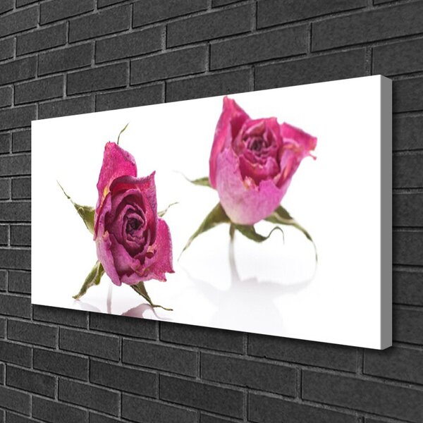 Obraz Canvas Ruže kvety rastlina 100x50 cm