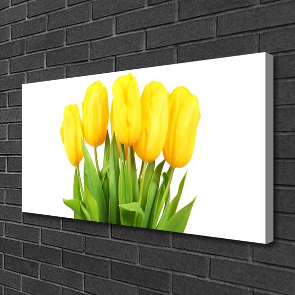 Obraz Canvas Tulipány kvety rastlina 100x50 cm