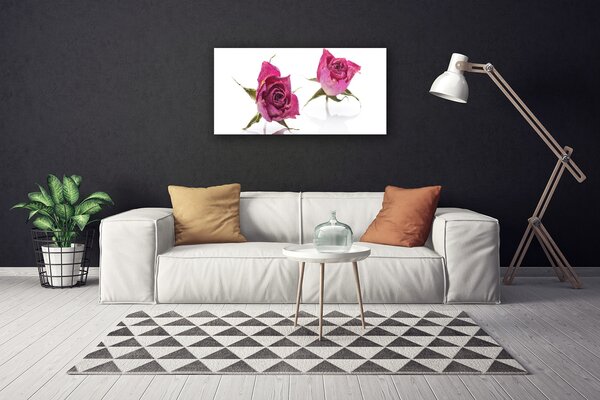 Obraz Canvas Ruže kvety rastlina 100x50 cm
