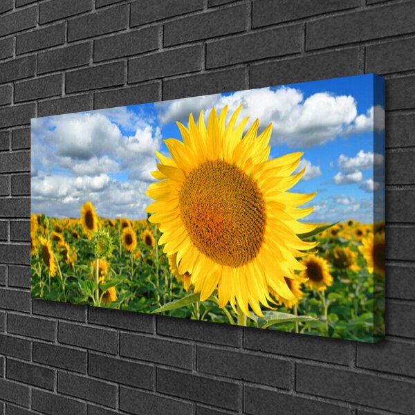 Obraz Canvas Slnečnica kvet rastlina 100x50 cm