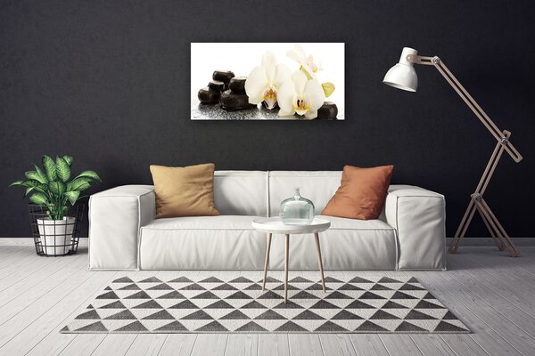 Obraz Canvas Kvet kamene rastlina 100x50 cm