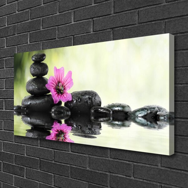 Obraz Canvas Kvet kamene umenie 100x50 cm