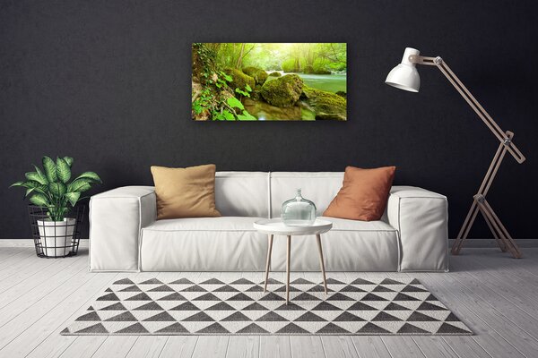 Obraz Canvas Jazero kamene príroda 100x50 cm