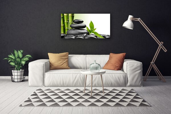 Obraz Canvas Bambus kamene zen umenie 100x50 cm