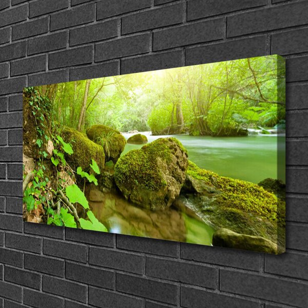Obraz Canvas Jazero kamene príroda 100x50 cm