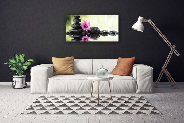 Obraz Canvas Kvet kamene umenie 100x50 cm