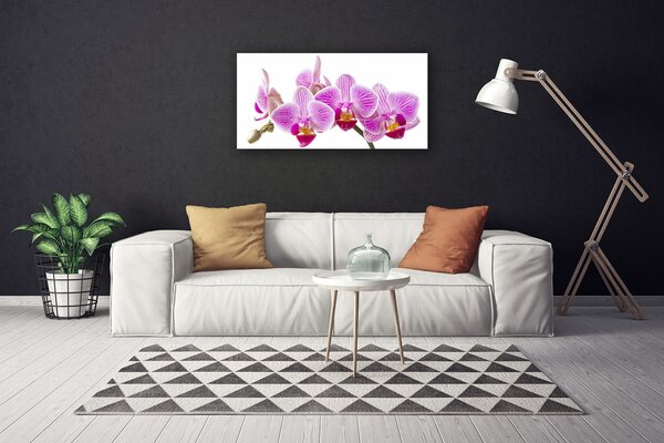 Obraz Canvas Kvety rastlina príroda 100x50 cm