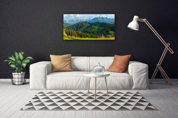 Obraz Canvas Hora les príroda 100x50 cm