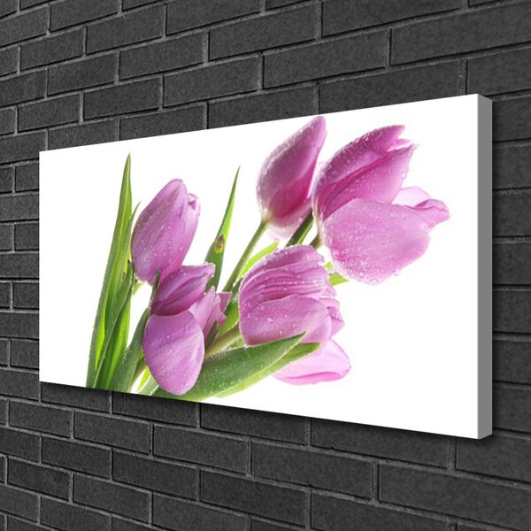 Obraz Canvas Tulipány kvety rastlina 100x50 cm