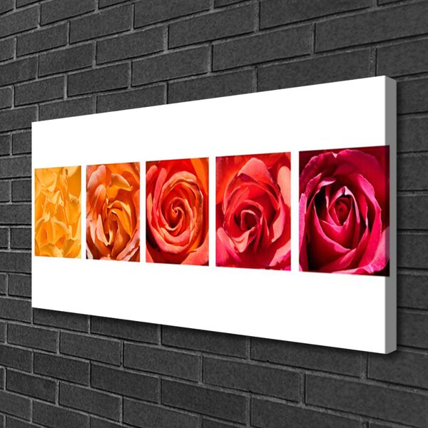 Obraz Canvas Ruže kvety rastlina 100x50 cm