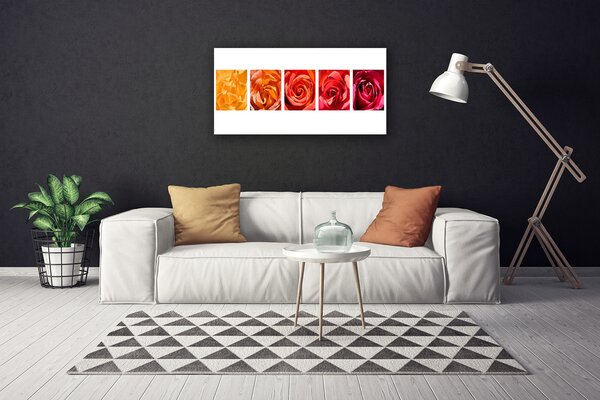 Obraz Canvas Ruže kvety rastlina 100x50 cm