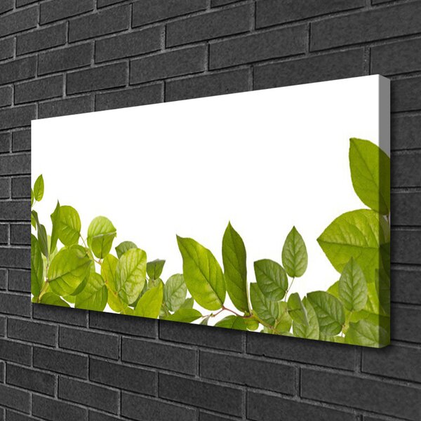 Obraz Canvas Listy príroda rastlina 100x50 cm