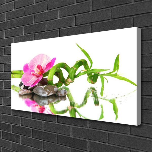 Obraz Canvas Bambus kvet kamene umenie 100x50 cm