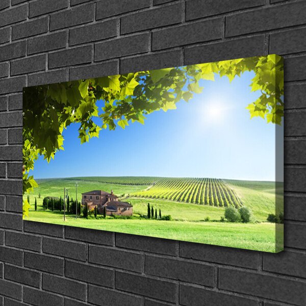 Obraz Canvas Pole listy krajina 100x50 cm