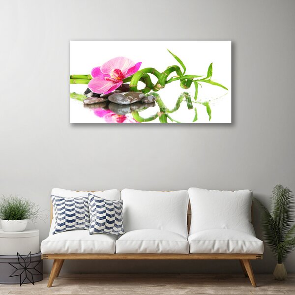 Obraz Canvas Bambus kvet kamene umenie 100x50 cm