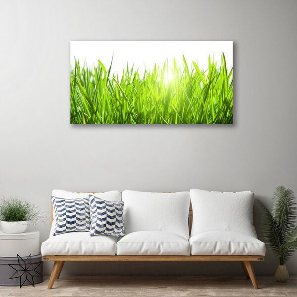 Obraz Canvas Tráva rastlina príroda 100x50 cm