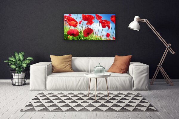Obraz Canvas Maky rastlina príroda 100x50 cm