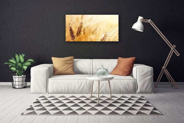 Obraz Canvas Pšenica rastlina príroda 100x50 cm