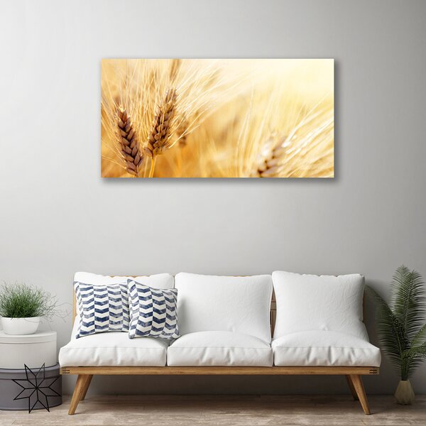 Obraz Canvas Pšenica rastlina príroda 100x50 cm