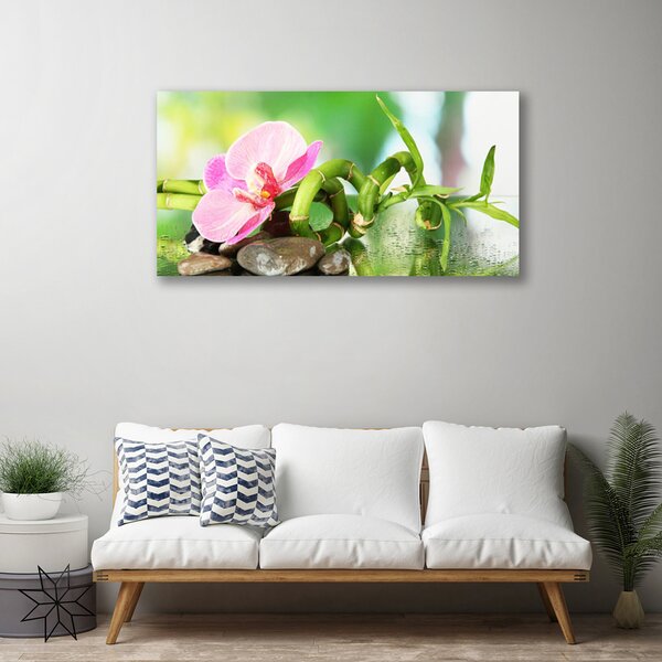 Obraz Canvas Bambus stonka rastlina príroda 100x50 cm