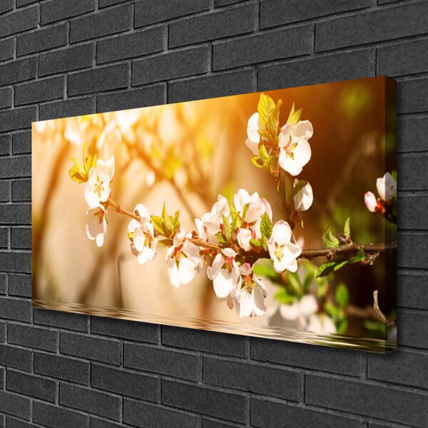 Obraz Canvas Kvety rastlina príroda 100x50 cm
