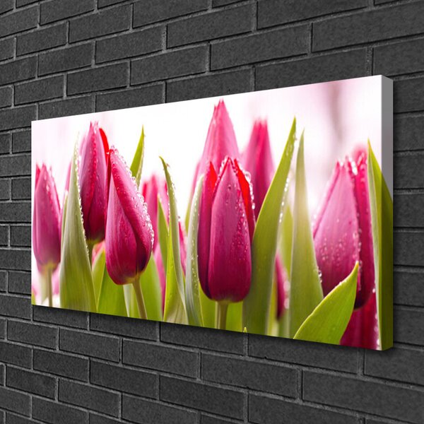 Obraz Canvas Tulipány kvety rastlina 100x50 cm