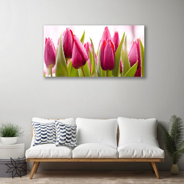 Obraz Canvas Tulipány kvety rastlina 100x50 cm