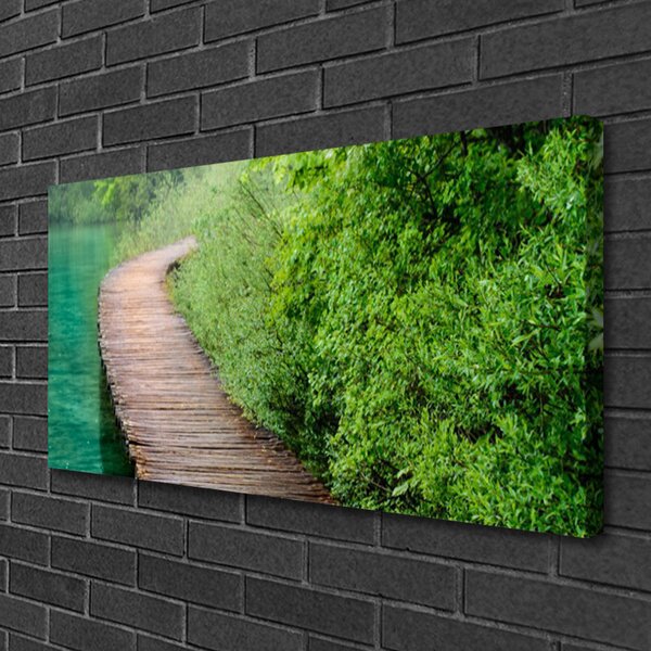 Obraz Canvas Most stromy architektúra 100x50 cm