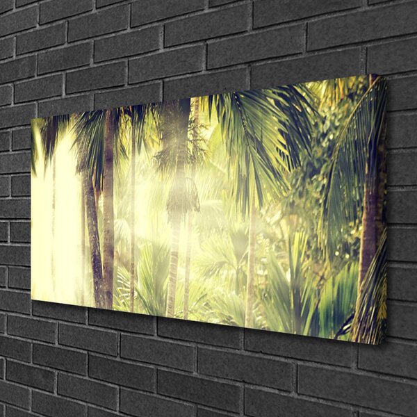 Obraz Canvas Les palmy stromy príroda 100x50 cm