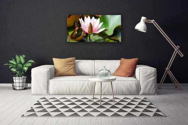 Obraz Canvas Kvet rastlina príroda 100x50 cm
