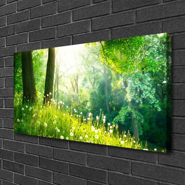 Obraz Canvas Lúka príroda rastlina 100x50 cm